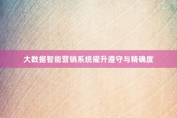 大数据智能营销系统擢升遵守与精确度